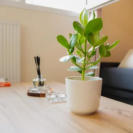 Апартаменты Modern Studio, Tram 5 Min From Partdieu, Wi-fi *